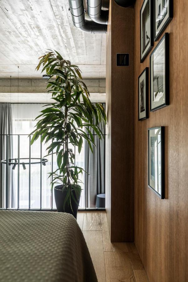 빌뉴스 Stylish Loft With Terrace Paupys, Old Town 아파트 외부 사진